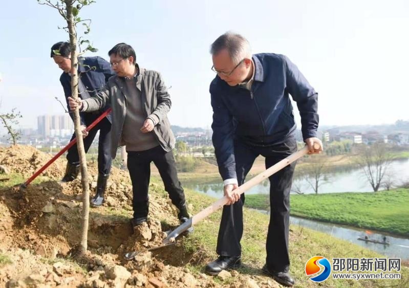 龚文密刘事青等市领导参加义务植树活动