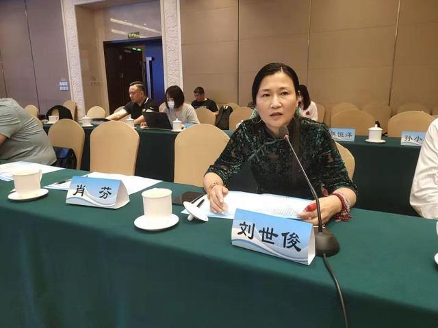 湖南省邵阳市大祥区高质量发展座谈会在京举行